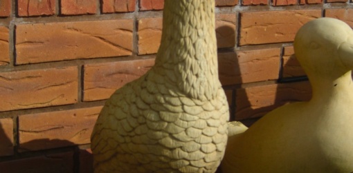 runner duck